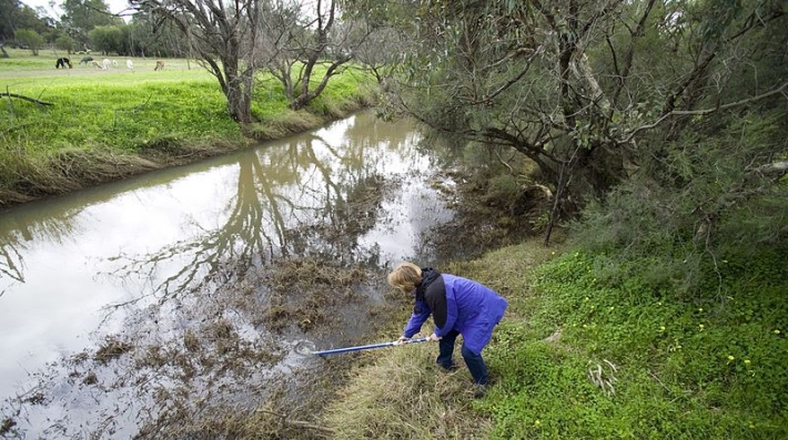 Dr Olga Barron collects a water sample from the Wungong River Brookdale Perth WA