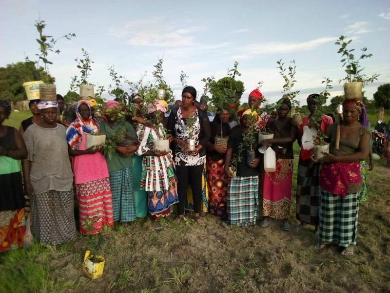 Group of women holding tree seedlings.
