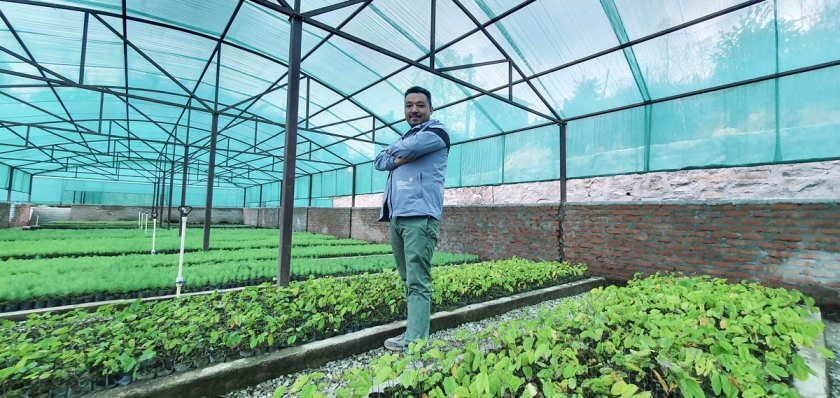 A man standing in a tree nursery